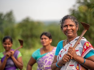 Vrouw aan het werk op het platteland in India